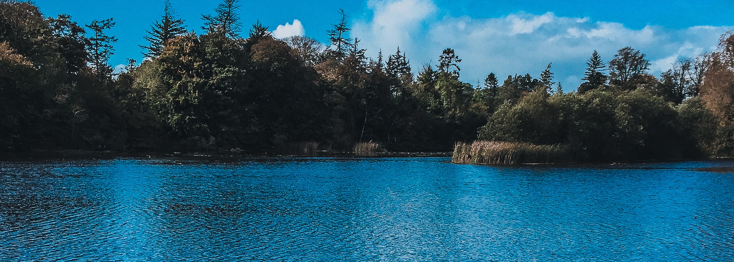 Aquatic Harvesting Ireland