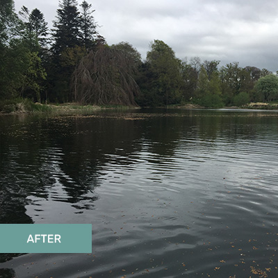 Aquatic Harvesting Ireland