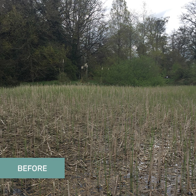 Aquatic Harvesting Ireland