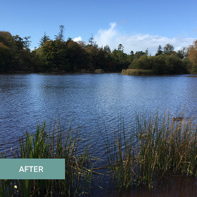 Aquatic Harvesting Ireland