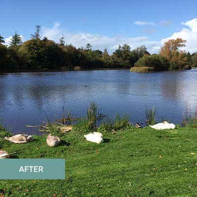 Aquatic Harvesting Ireland