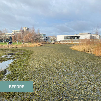 Aquatic Harvesting Ireland