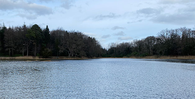 Aquatic Harvesting Ireland