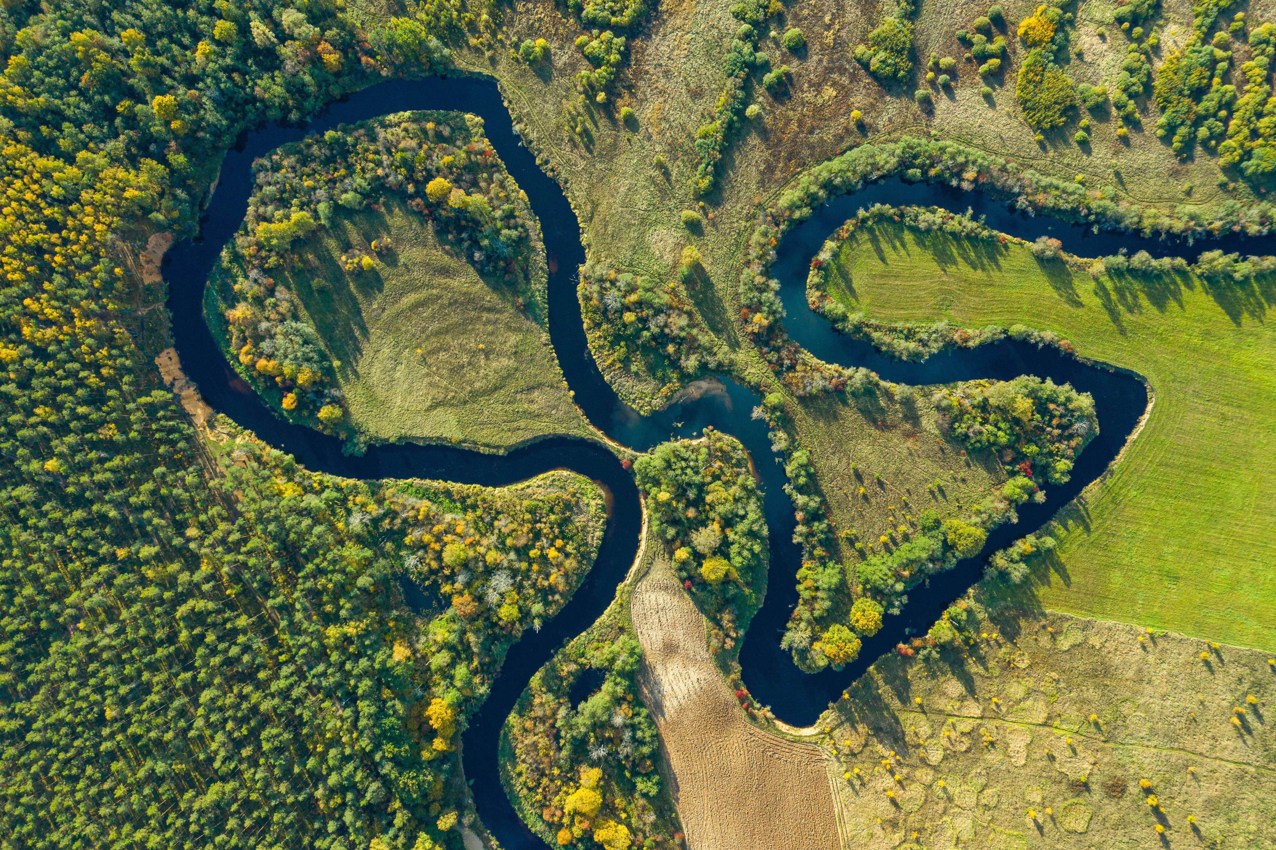 Aquatic Harvesting Ireland